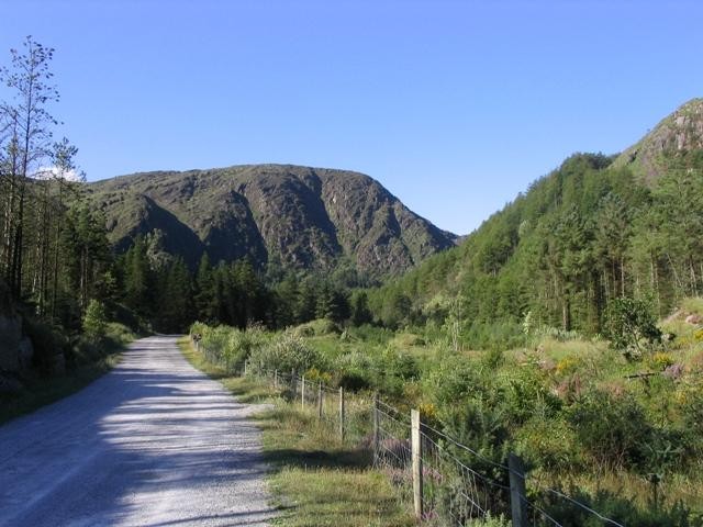 Gougane Barra National Forest Park