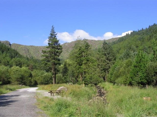 Gougane Barra National Forest Park