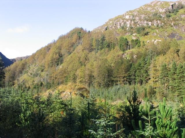 Gougane Barra National Forest Park